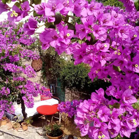 Apartment Nonina - Relax And Let Go Dubrovnik
