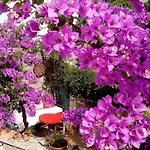 Apartman Nonina - Relax And Let Go Dubrovnik