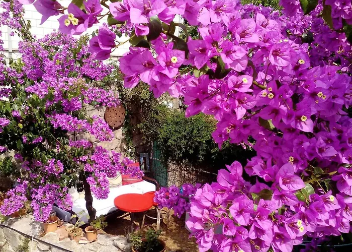 Apartamento Nonina - Relax And Let Go Dubrovnik